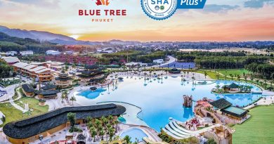 Blue-Tree-Reopens-01-390x205.jpg