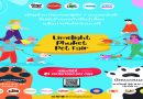 ได้เวลาแจ้งเกิดลูกๆ แล้ว! พามาประชันโฉมในงาน Limelight Phuket Pet Fair กัน