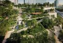 Dusit Central Park’s breath-taking Roof Park to help create a cleaner, greener Bangkok