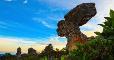 amazing-shape-rock-pa-hin-ngam-national-park-thailand_42044-3362-390x205.jpg