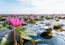 Thale Noi Waterbird Park Thale Noi, Phatthalung