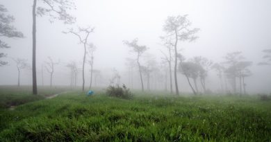 nature-phu-soi-dao-national-park-uttaradit-rainforests-pine-trees-thailand_536380-264-390x205.jpg