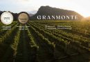 Winter In The Vineyard at GranMonte Vineyard and Winery 2022