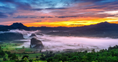 sunrise-morning-mist-phu-lang-ka-phayao-thailand_335224-803-390x205.png