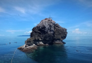 Dive Mecca of the Gulf of Thailand – Koh Tau 