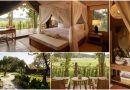 <strong>New Luxury Tented Camp Now Open in Chiang Rai, Thailand</strong>
