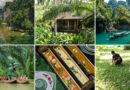 Green Season สูดไอดินกลิ่นไอฝนสัมผัสธรรมชาติที่เขาสก อนุรักษ์ อีโคลอดจ์ ปรับปรุงใหม่ครั้งใหญ่ มอบประสบการณ์ท่องเที่ยวเชิงอนุรักษ์สู่การท่องเที่ยวอย่างยั่งยืน